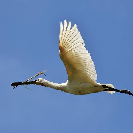 Spoonbill Cottage Filey Εξωτερικό φωτογραφία