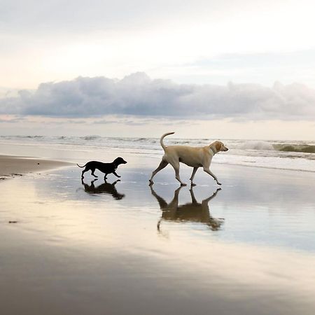 Spoonbill Cottage Filey Εξωτερικό φωτογραφία