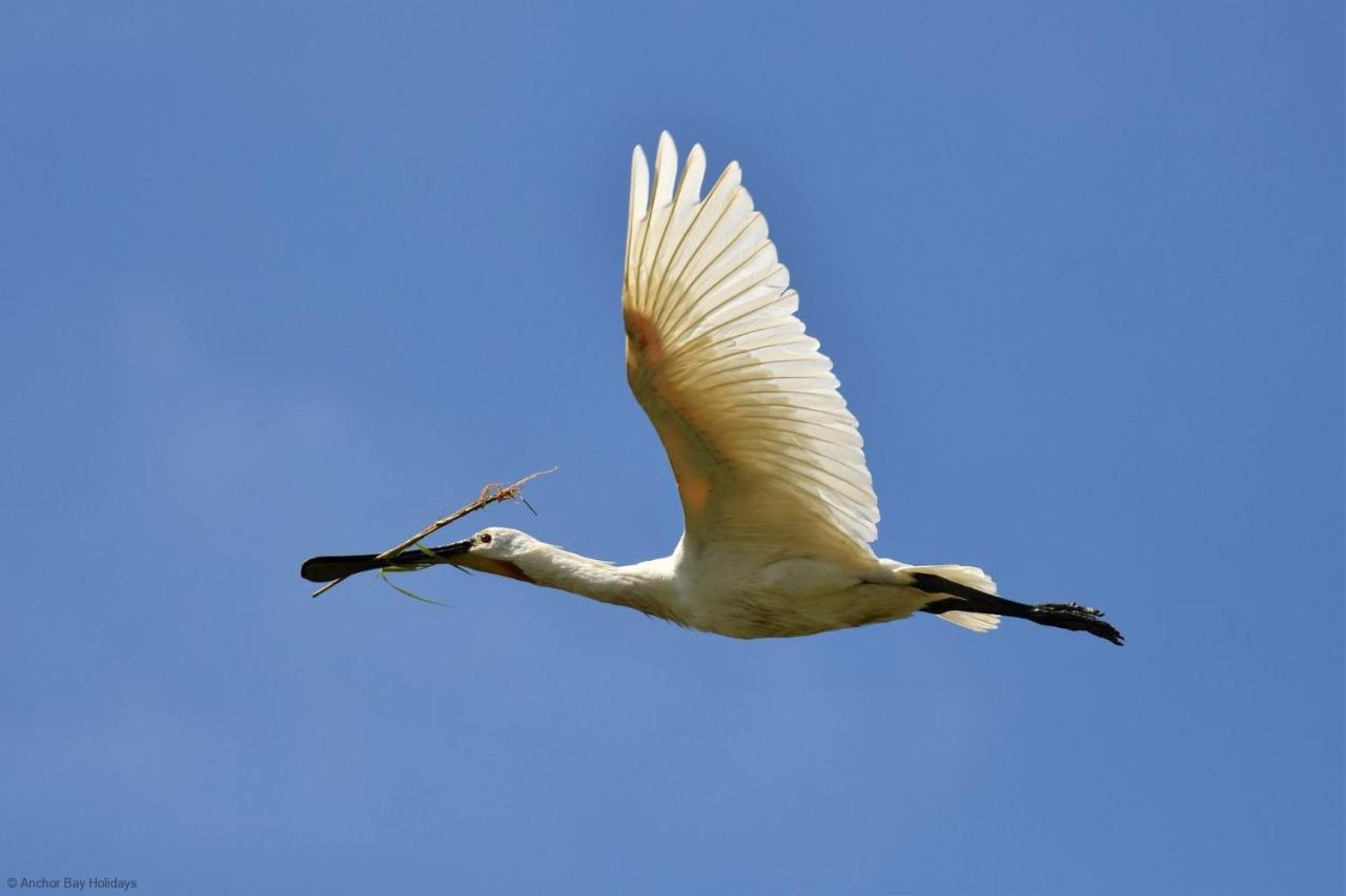 Spoonbill Cottage Filey Εξωτερικό φωτογραφία